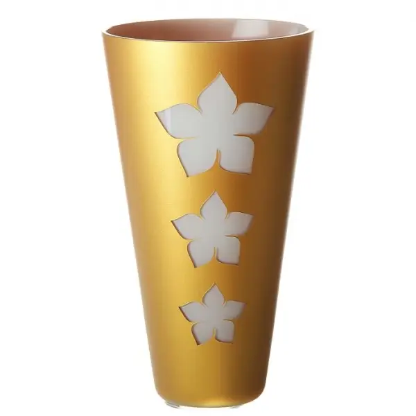 Показать основное фото