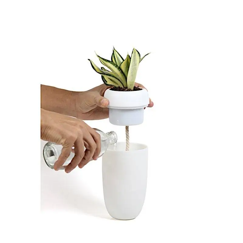 Показать основное фото