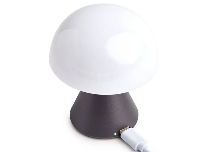 Показать дополнительное фото 2