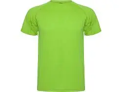 Спортивная футболка Montecarlo мужская