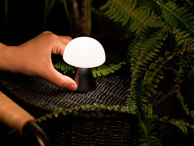 Показать дополнительное фото 4