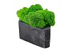 Кашпо бетонное со мхом (гама-антрацит мох зеленый), QRONA