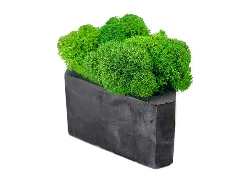 Показать основное фото