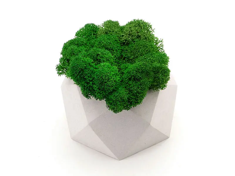 Показать дополнительное фото 2