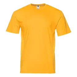 Футболка мужская 02