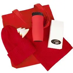 Набор Winter Safe, 35х38х5 см