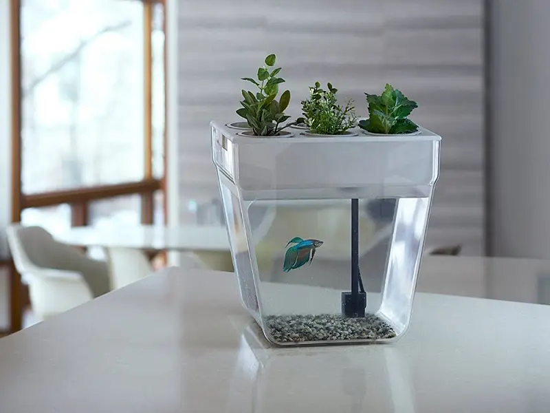 Показать дополнительное фото 4