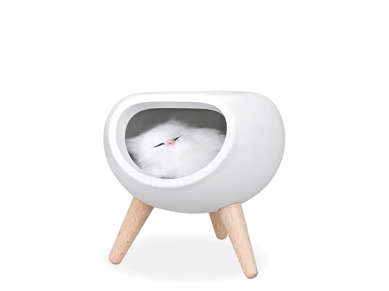 Показать основное фото