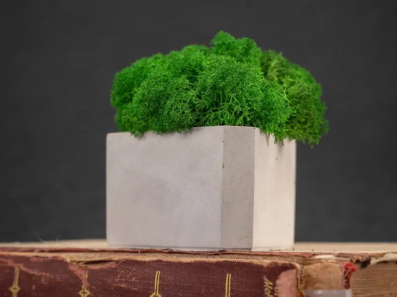 Показать дополнительное фото 6