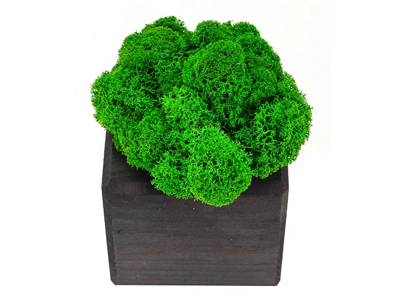 Показать дополнительное фото 3