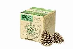 Набор для выращивания «Экокуб», 8х8х8 см