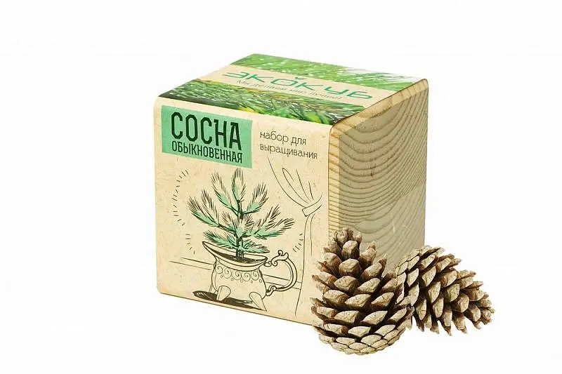 Показать основное фото