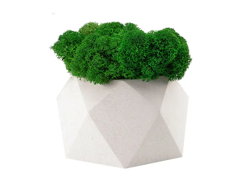 Показать основное фото