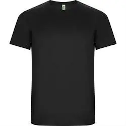 Спортивная футболка IMOLA мужская