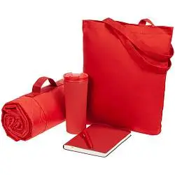 Набор Stitch Pitch, термостакан: 20,5х8,5 см; ежедневник: 15х21 см; ручка: 14х1 см; плед: 115х140 см; сумка: 35х38 см