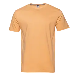 Футболка мужская 02