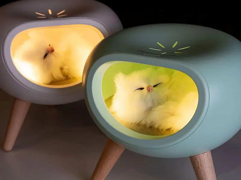 Показать дополнительное фото 10