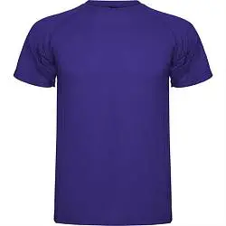 Спортивная футболка MONTECARLO мужская