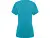 goluboy_dunay