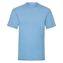 Футболка мужская VALUEWEIGHT T 165