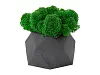 Кашпо бетонное со мхом (бета-антрацит мох зеленый), QRONA