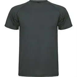 Спортивная футболка MONTECARLO мужская