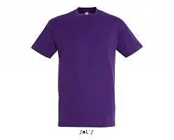 Фуфайка (футболка) REGENT мужская