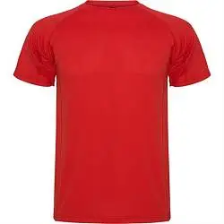 Спортивная футболка MONTECARLO мужская