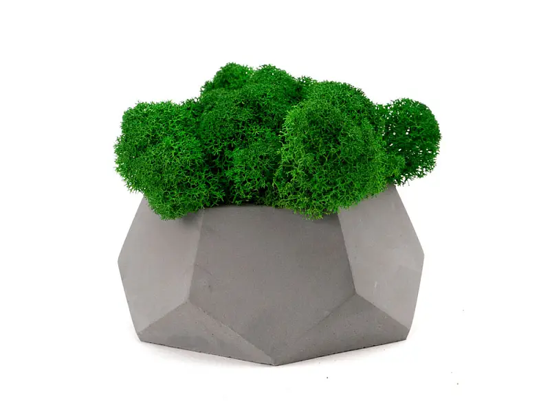 Показать основное фото