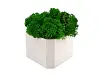 Кашпо бетонное со мхом (гама-антрацит мох зеленый), QRONA
