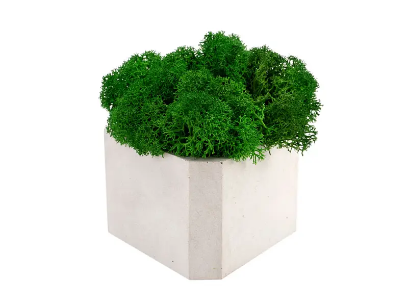 Показать основное фото