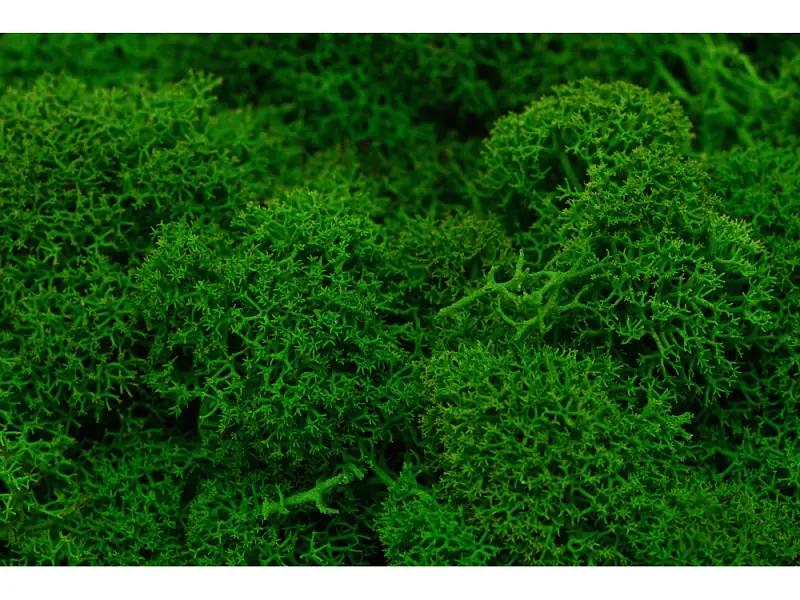 Показать дополнительное фото 3