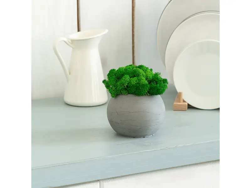 Показать дополнительное фото 7