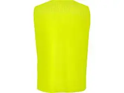 Манишка спортивная Roma, унисекс