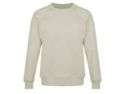 Свитшот оверсайз с рукавом реглан Belgrade, унисекс