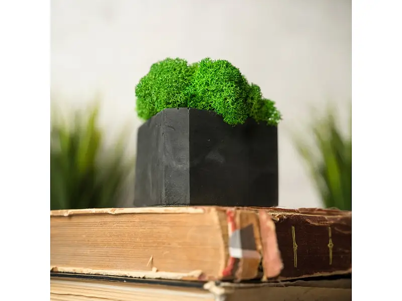 Показать дополнительное фото 5