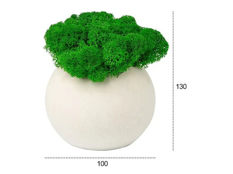 Показать дополнительное фото 7