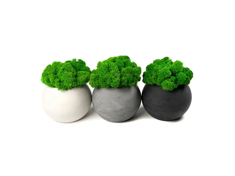 Показать дополнительное фото 4