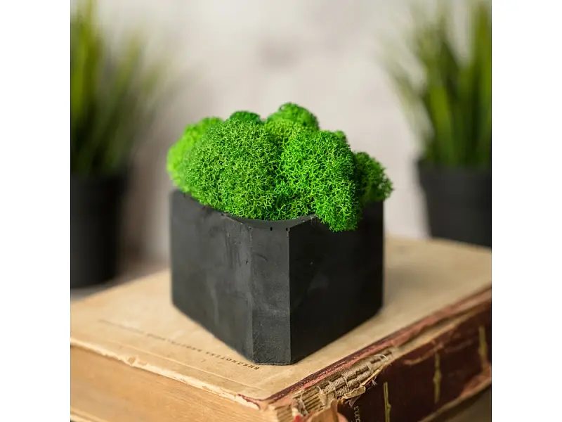 Показать дополнительное фото 4