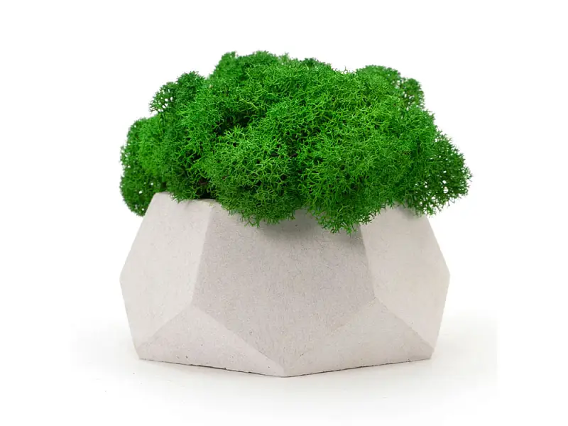 Показать основное фото