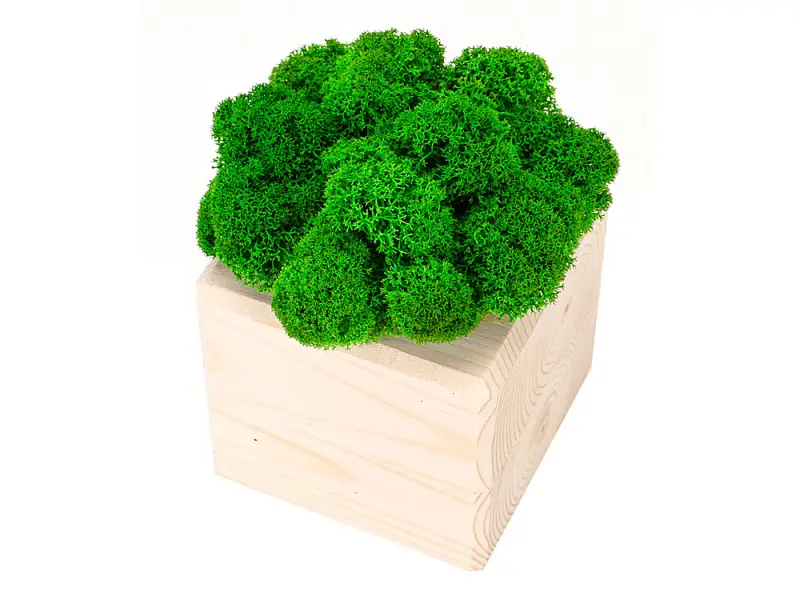 Показать дополнительное фото 2