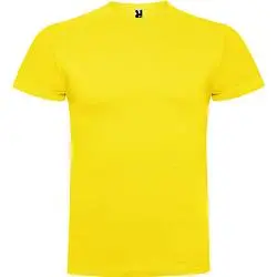 Футболка BRACO мужская