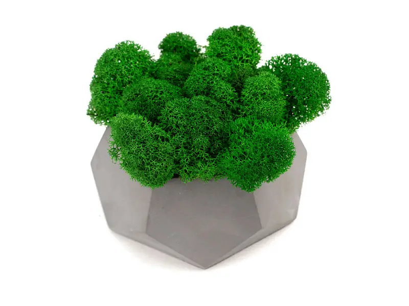 Показать дополнительное фото 2