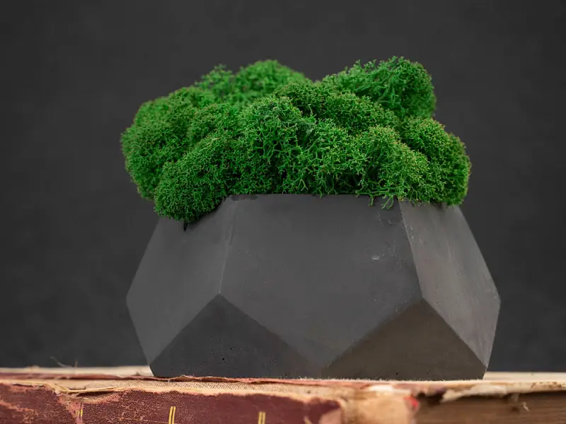 Показать дополнительное фото 5