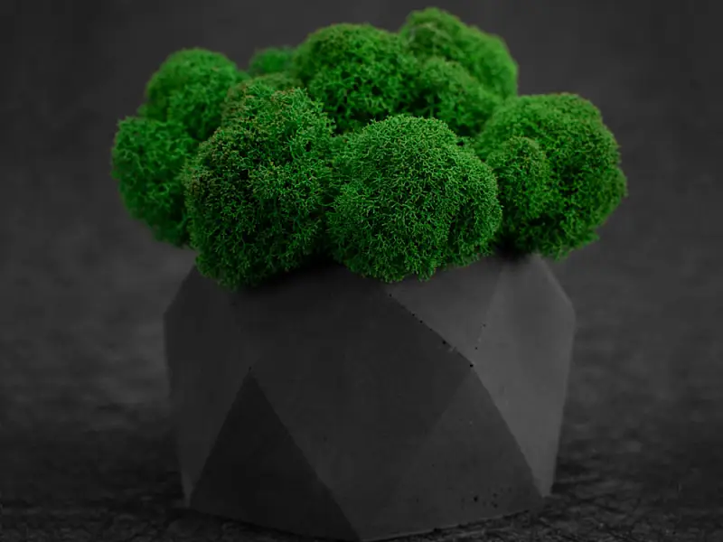 Показать дополнительное фото 5