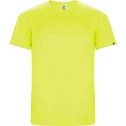 Спортивная футболка IMOLA мужская