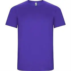 Спортивная футболка IMOLA мужская