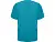 goluboy_dunay