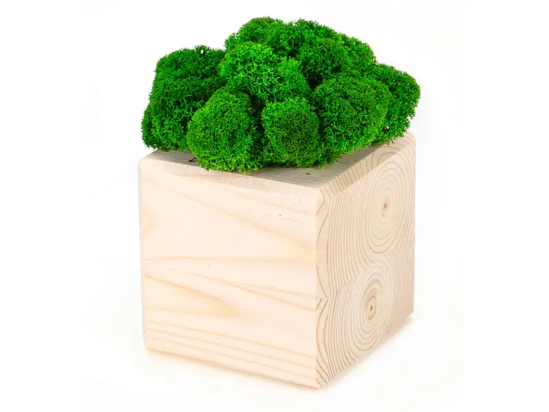 Показать основное фото