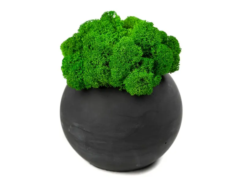 Показать основное фото